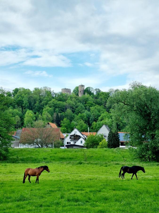 Ferienhaus Diemelaue Mit Klimaanlage Bad Karlshafen Eksteriør bilde